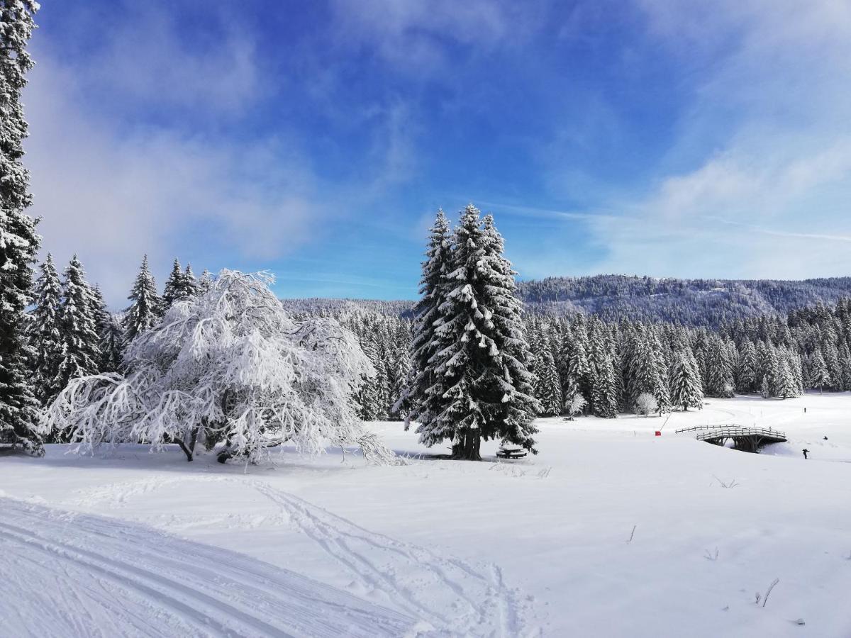 Ferme Des Deux Freres, Autrans, Vercors Exterior photo